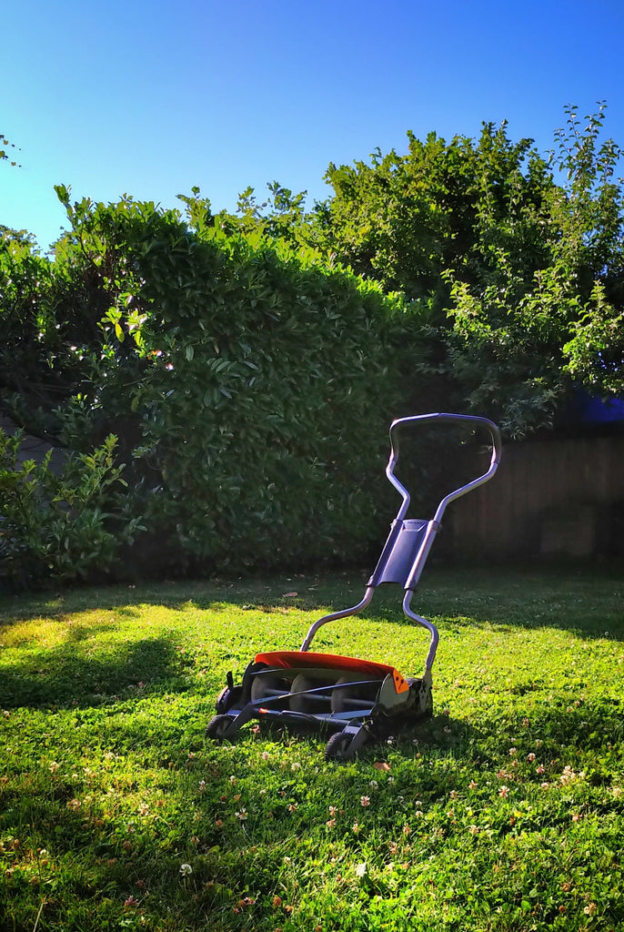 Best Time of Day to Mow Lawn