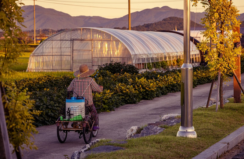 Pesticide Advice