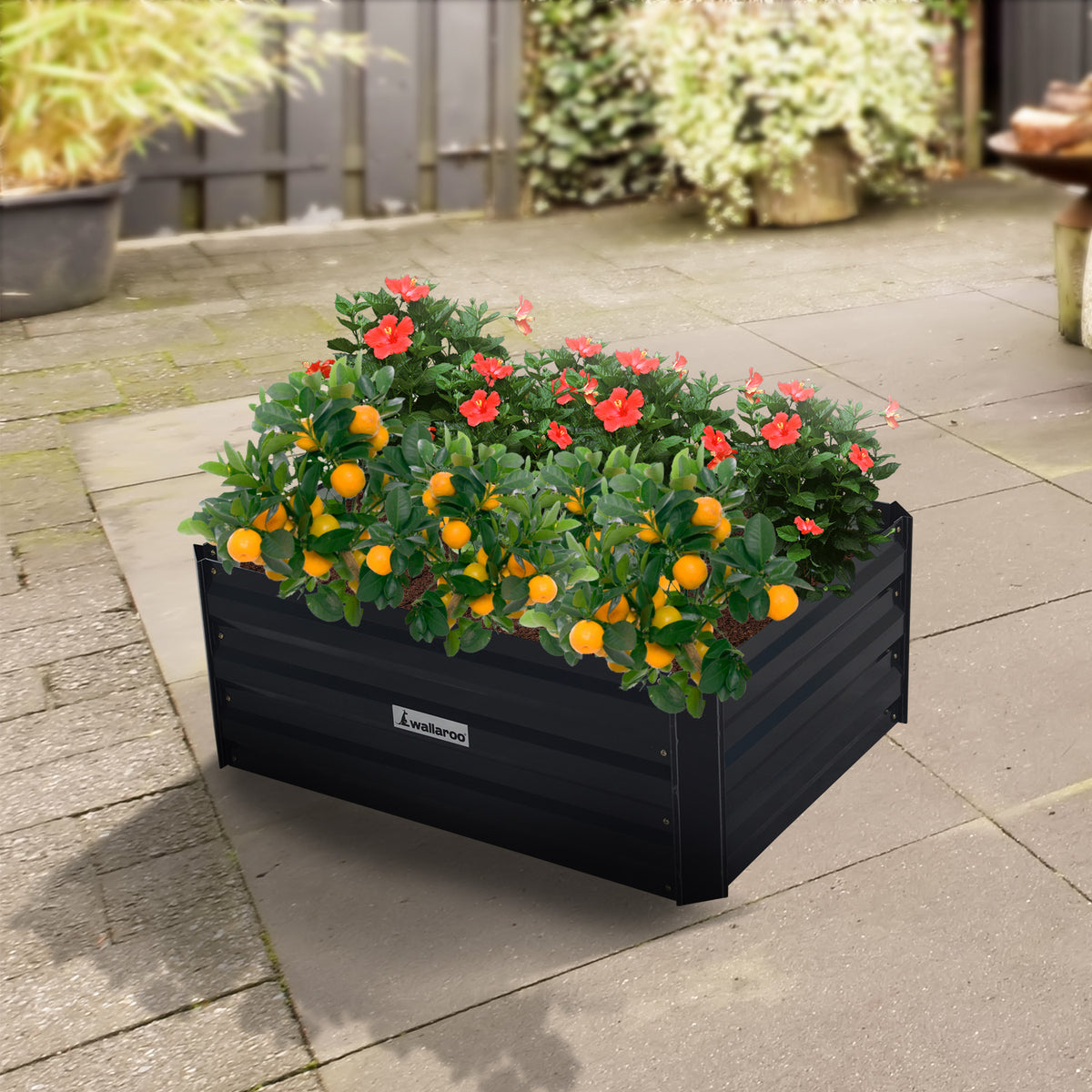 Wallaroo Garden Bed 80 x 60 x 30cm Galvanized Steel - Black